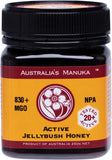 AUSTRALIA'S MANUKA Active Jellybush Honey NPA 21+ (MGO830+)