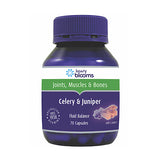 Henry Blooms Celery and Juniper 70c