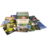 FES Affirm a Flower Cards - Complete Set of FES, Range of Light & Bach 202 Cards