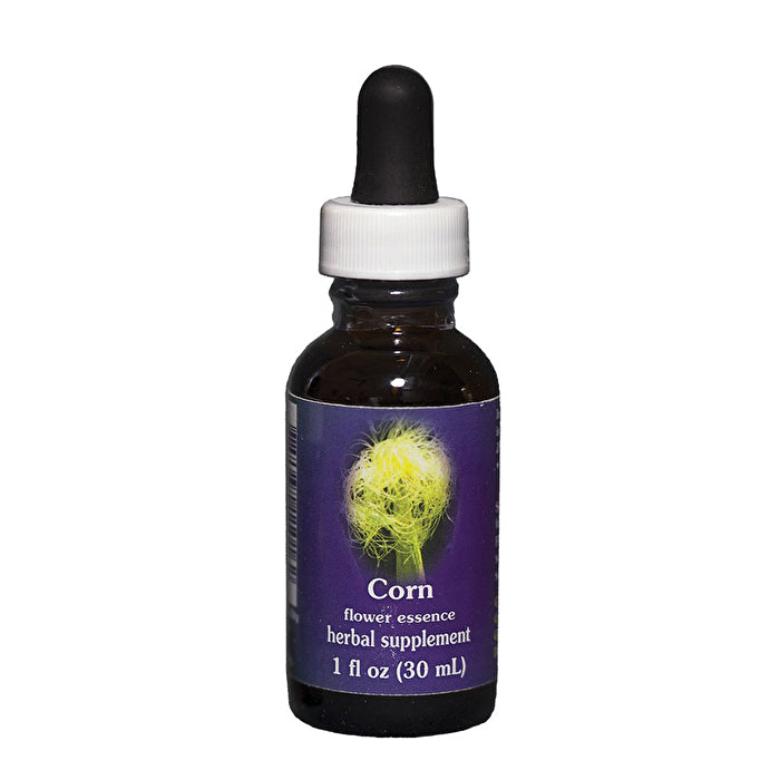 FES Quintessentials Corn 30ml