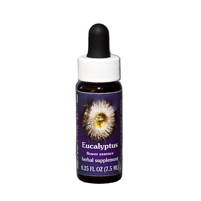 FES Quintessentials (Research) Eucalyptus 7.5ml
