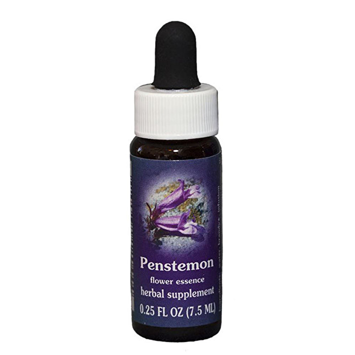 FES Quintessentials Penstemon 7.5ml