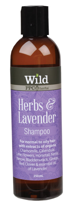 WILD Shampoo Herbs & Lavender